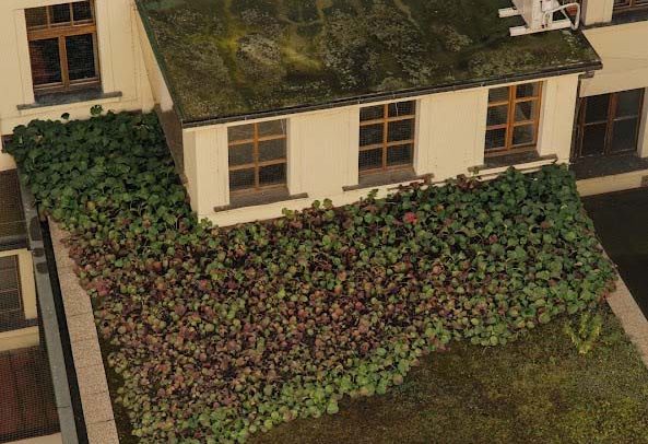 Palác YMCA Exteriér